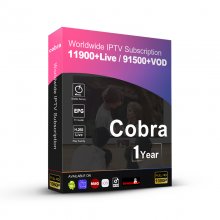 12 Months Cobra Stable Server M3U Arabic Europe IPTV Smarters Smart IPTV Code