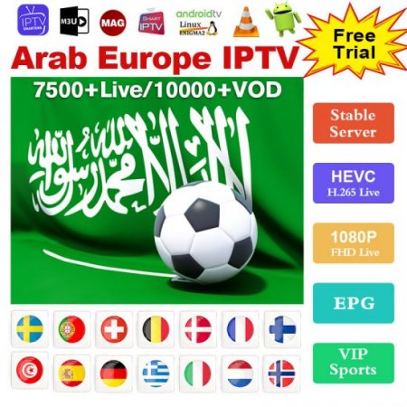 12 Months Cobra Stable Server M3U Arabic Europe IPTV Smarters Smart IPTV Code